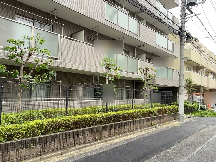 集合住宅の前の並木を強剪定し、フェンスと生垣もすっきりさせる｜作業後