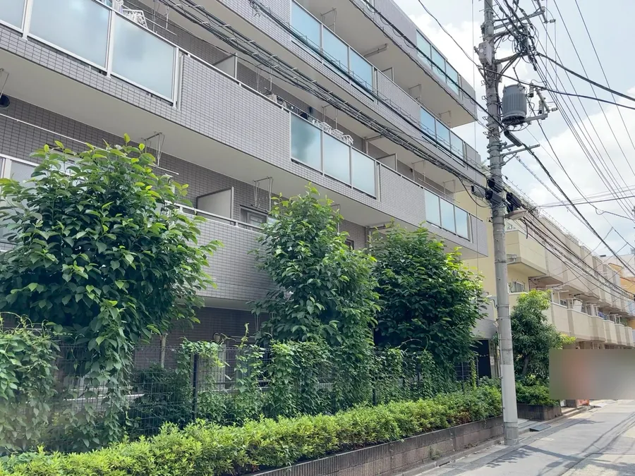 集合住宅の前の並木を強剪定し、フェンスと生垣もすっきりさせる｜作業前