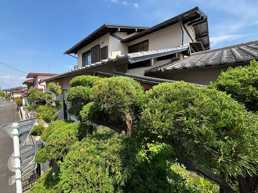 八王子市｜松の手入れ