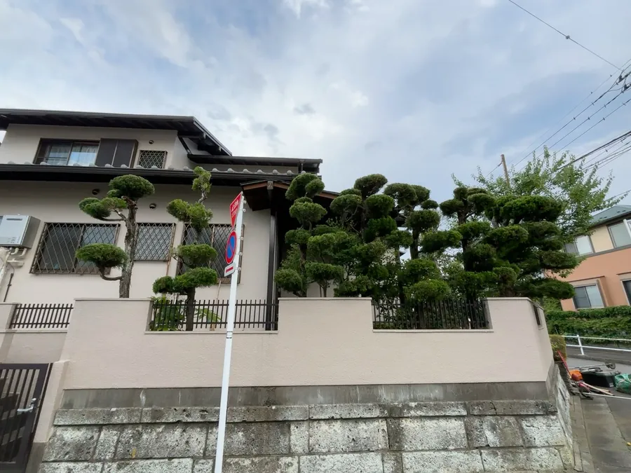 八王子市｜松の手入れ
