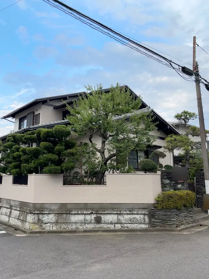 八王子市｜松の手入れ