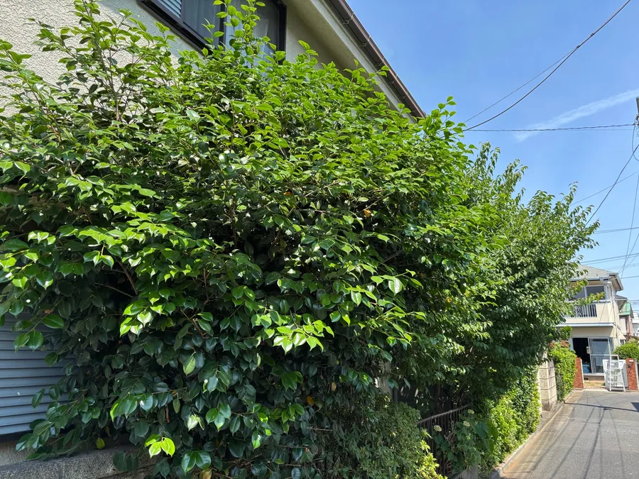 練馬区｜ご相談時の状態