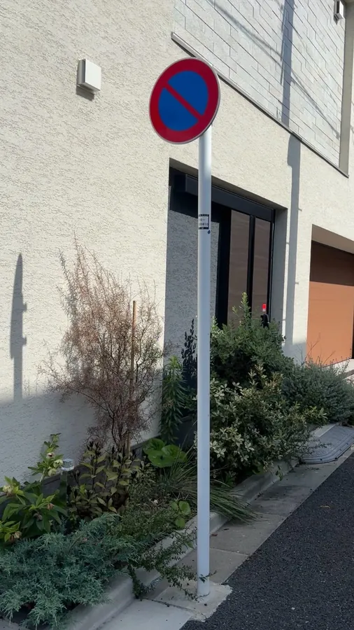 道路沿いの植栽帯で、枯れた低木を整理する｜作業前