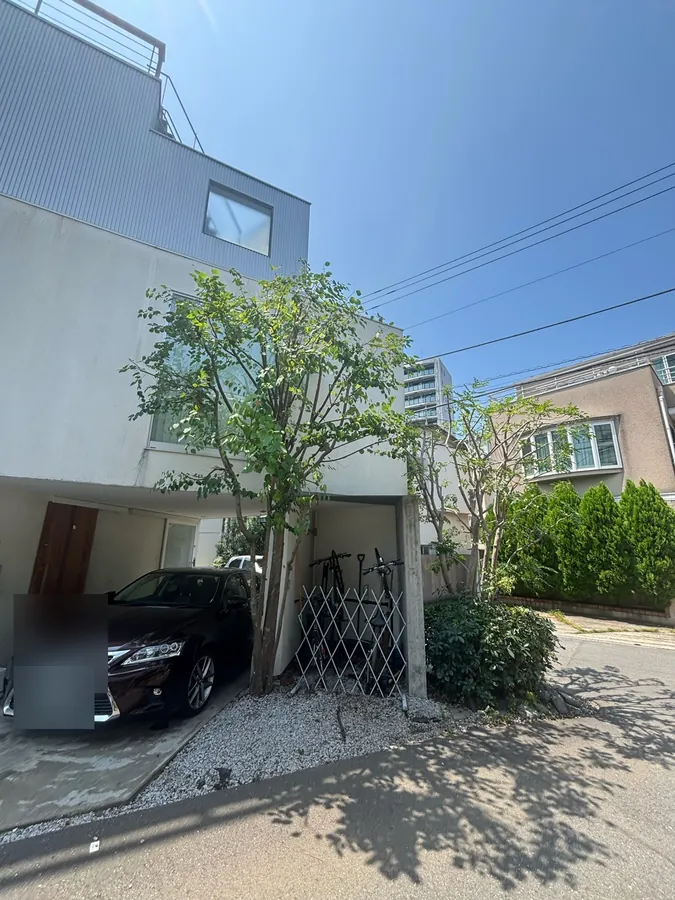 作業後(8月)。2本とも枝を減らし、建物の壁と窓が見えるようになりました。