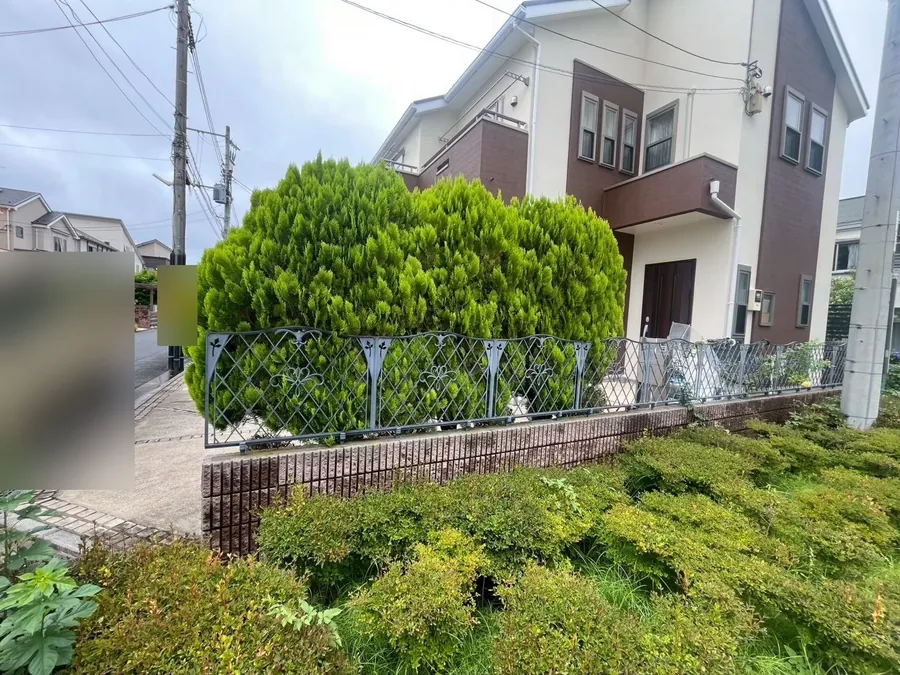 武蔵野市｜フェンス沿いの木（作業前）。フェンスの外へ枝が出ていました。