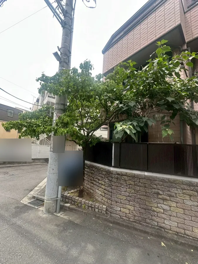 建物の角の木を伐採し、植栽スペースを片づける｜作業前