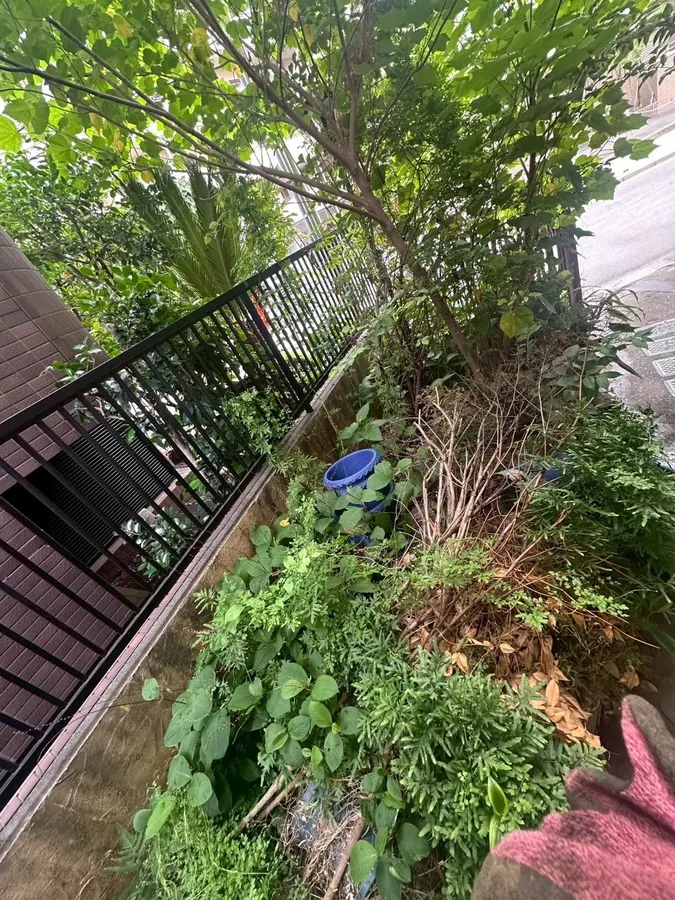 混み合った花壇の木と草を撤去し、土の状態に戻す｜作業前