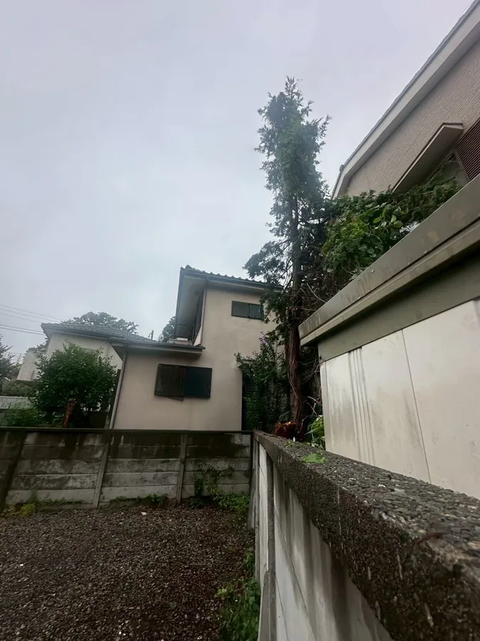 同じ場所の作業後。茂っていた木を切り、塀ぎわを片づけました。