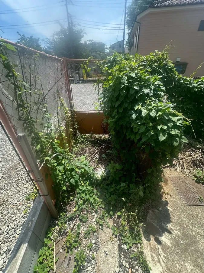 建物の裏の隅(作業前)。つる性の植物と木がフェンスを覆っていました。