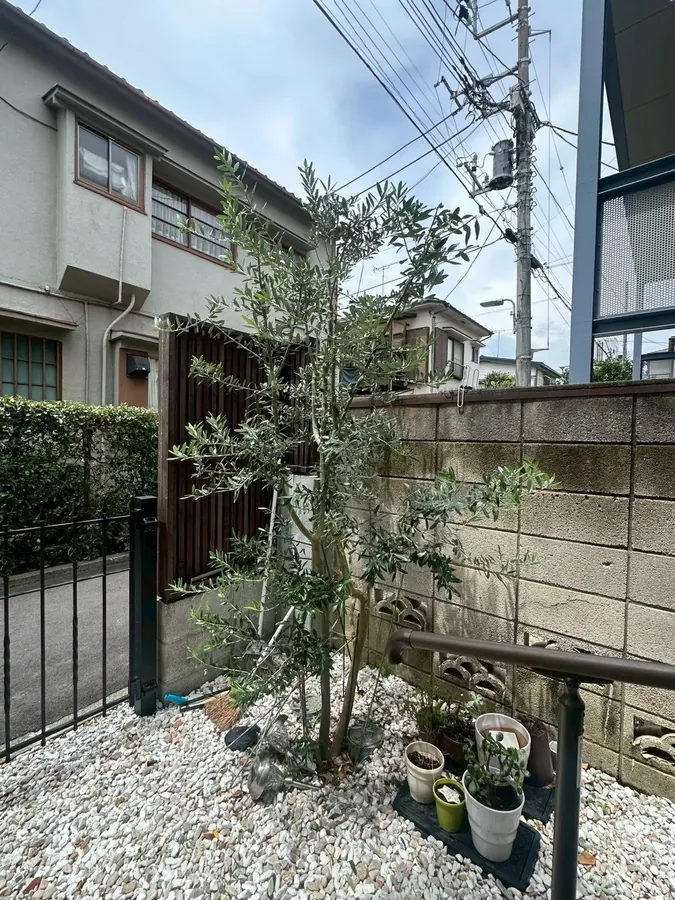 庭木の剪定と、家の脇の細い通路の草取りをまとめて｜作業後