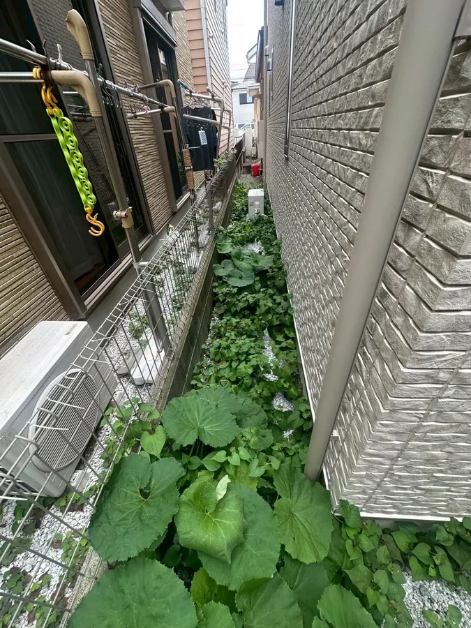 大田区｜家の脇の細い通路（作業前）。大きな葉の草が通路をふさいでいました。