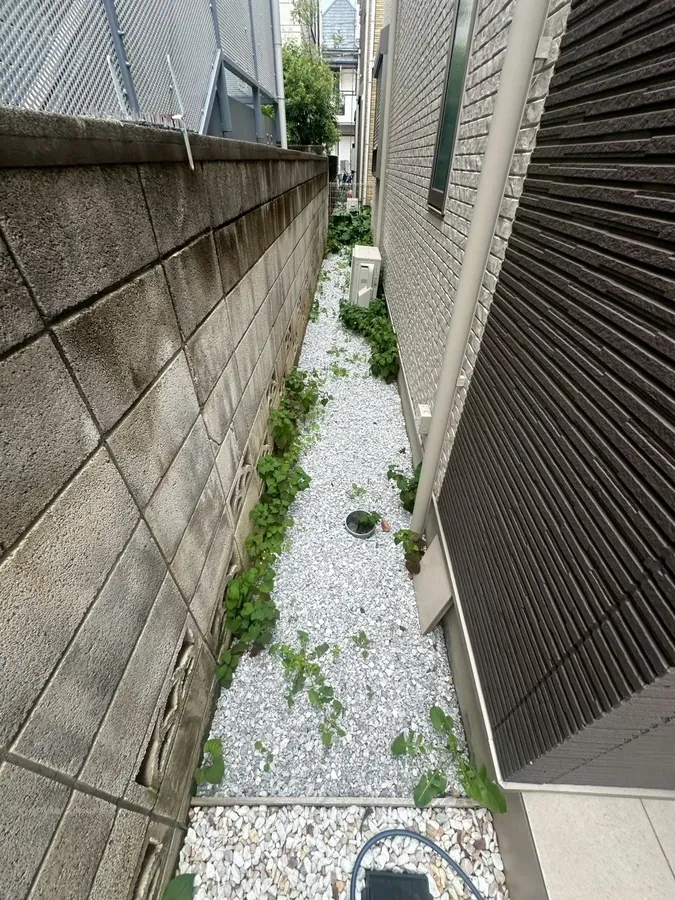 大田区｜反対側の通路（作業前）。塀ぎわに草とつるが伸びていました。